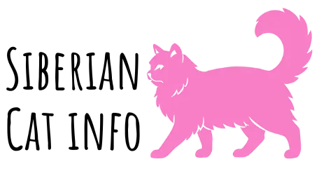 siberian cat